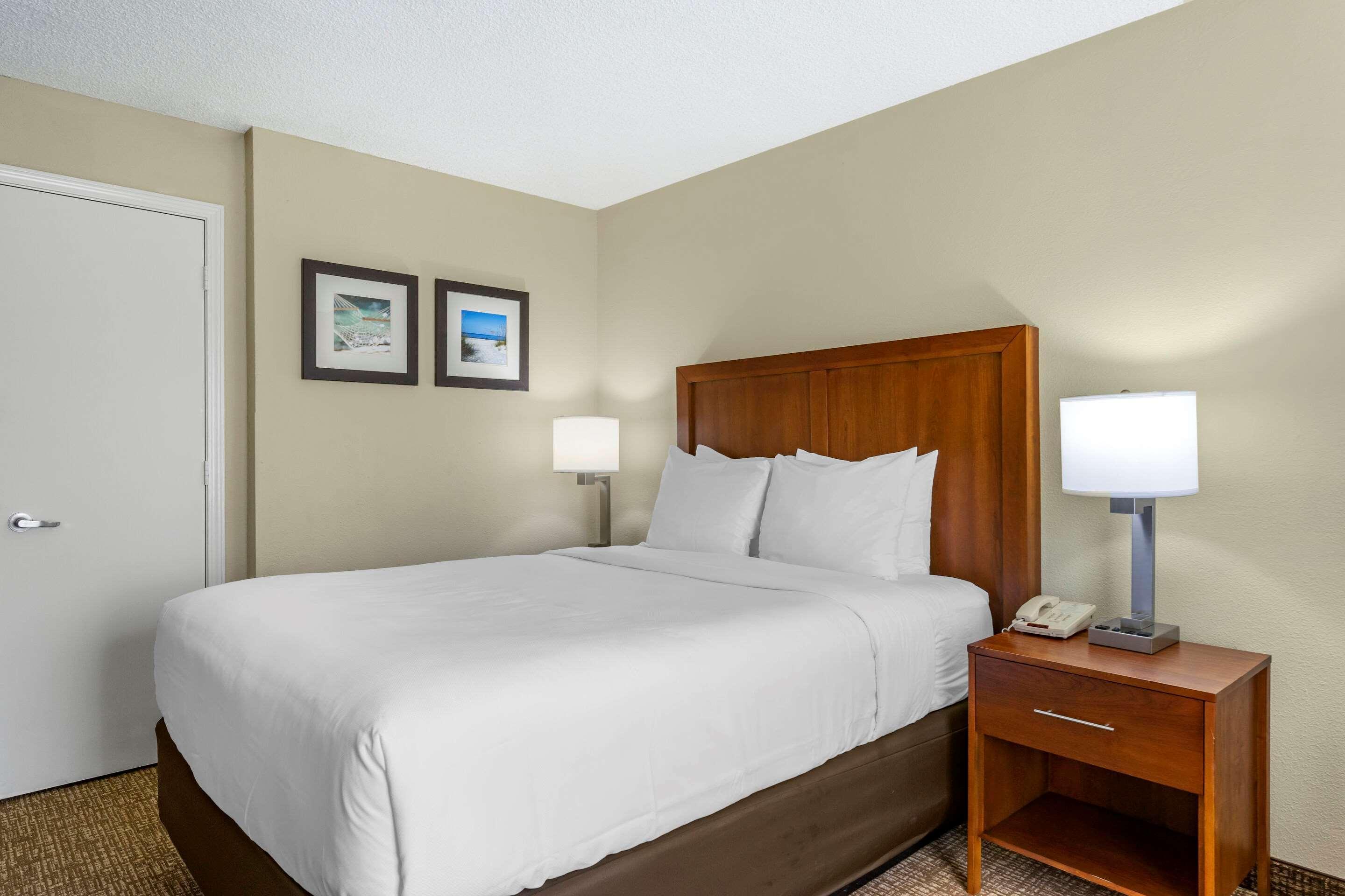 Comfort Inn & Suites St Pete - Clearwater International Airport Екстер'єр фото