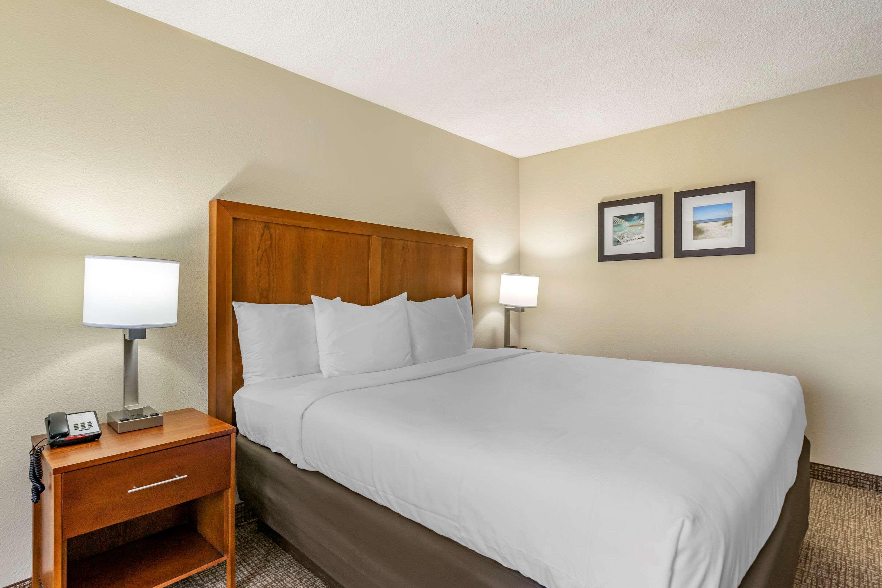 Comfort Inn & Suites St Pete - Clearwater International Airport Екстер'єр фото