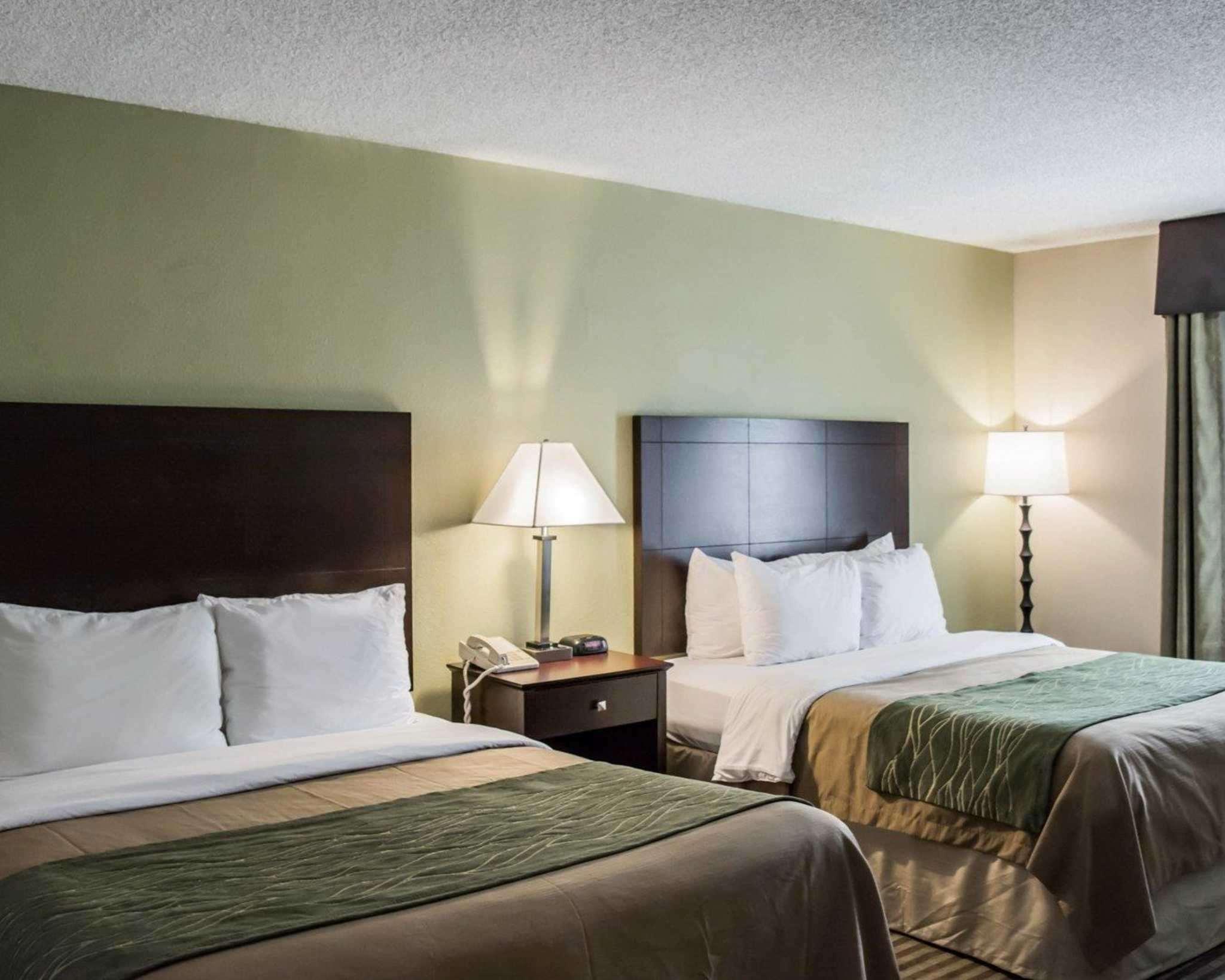 Comfort Inn & Suites St Pete - Clearwater International Airport Екстер'єр фото