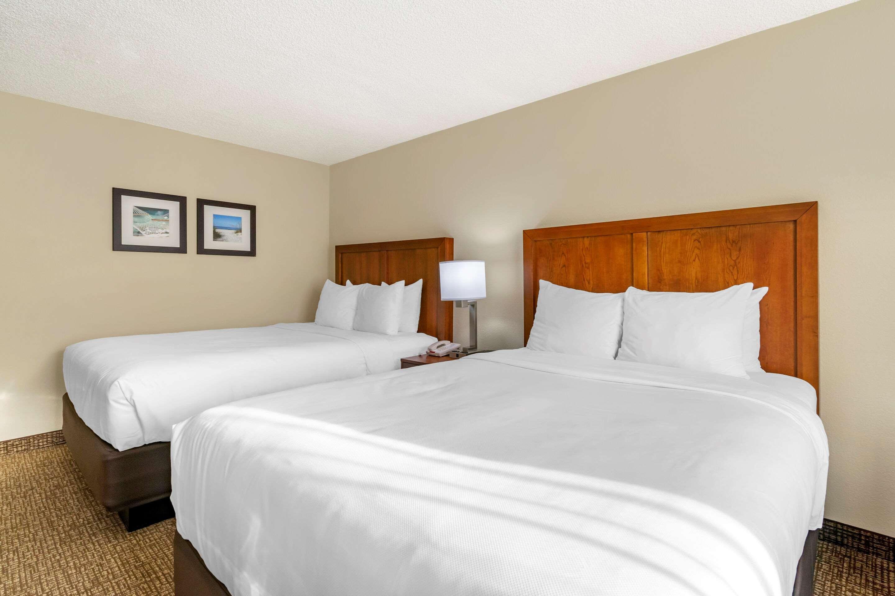 Comfort Inn & Suites St Pete - Clearwater International Airport Екстер'єр фото