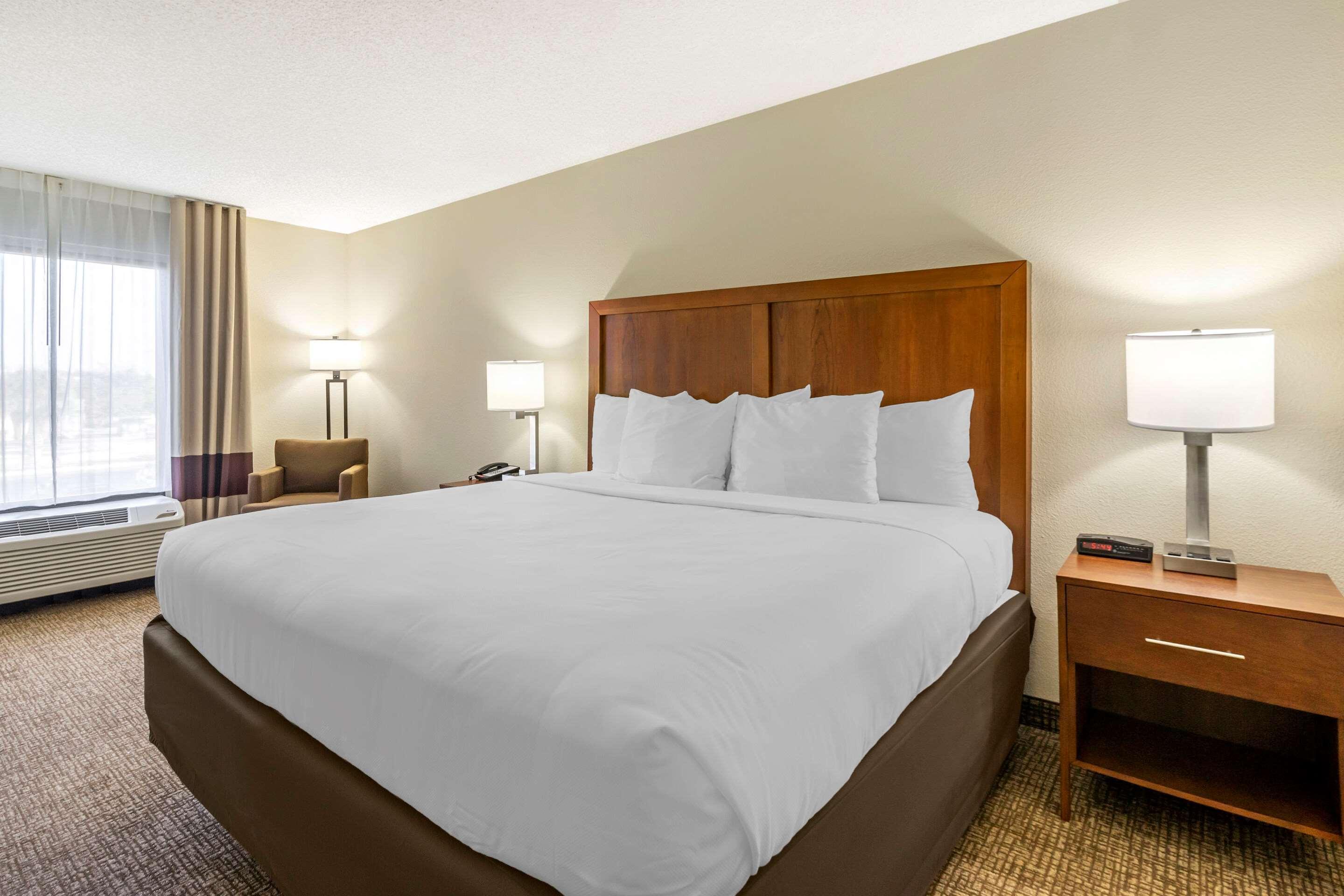 Comfort Inn & Suites St Pete - Clearwater International Airport Екстер'єр фото