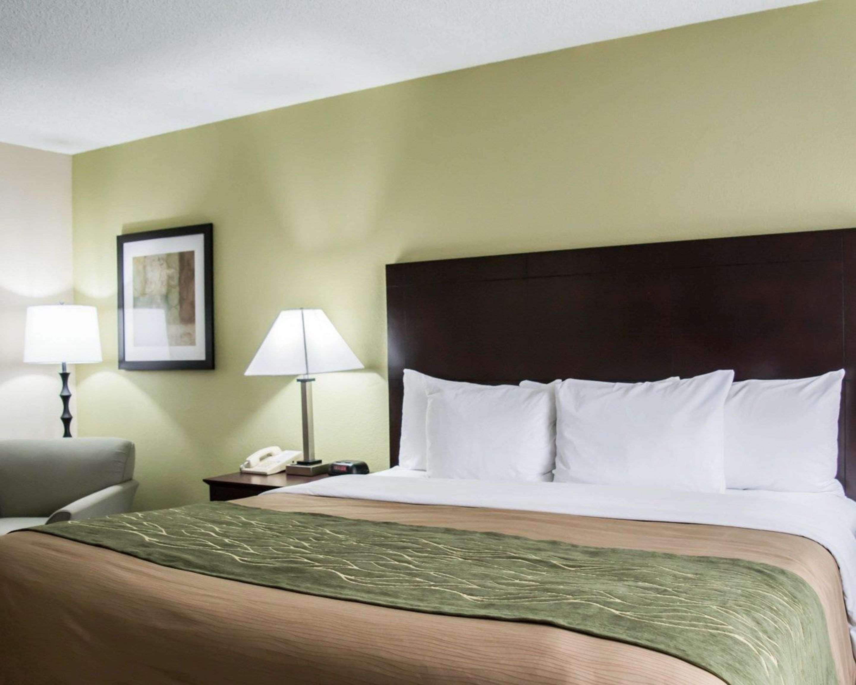 Comfort Inn & Suites St Pete - Clearwater International Airport Екстер'єр фото