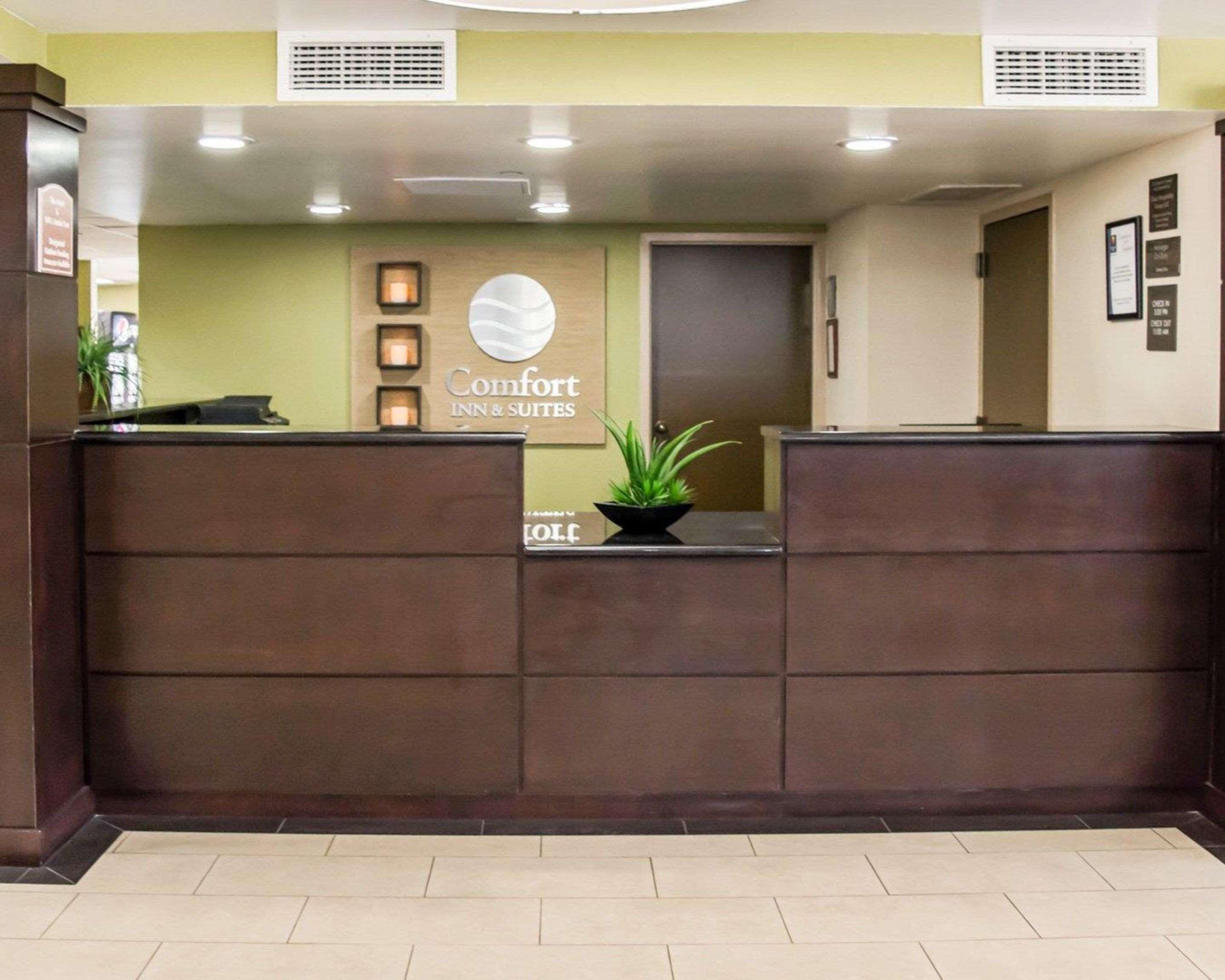 Comfort Inn & Suites St Pete - Clearwater International Airport Екстер'єр фото