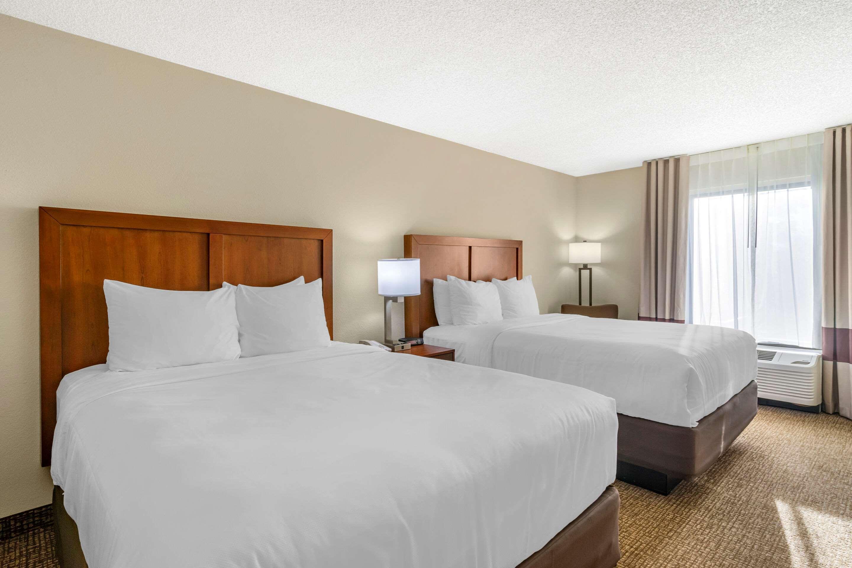 Comfort Inn & Suites St Pete - Clearwater International Airport Екстер'єр фото