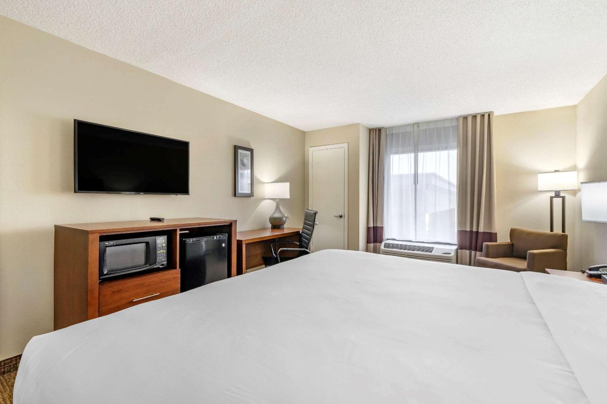 Comfort Inn & Suites St Pete - Clearwater International Airport Екстер'єр фото