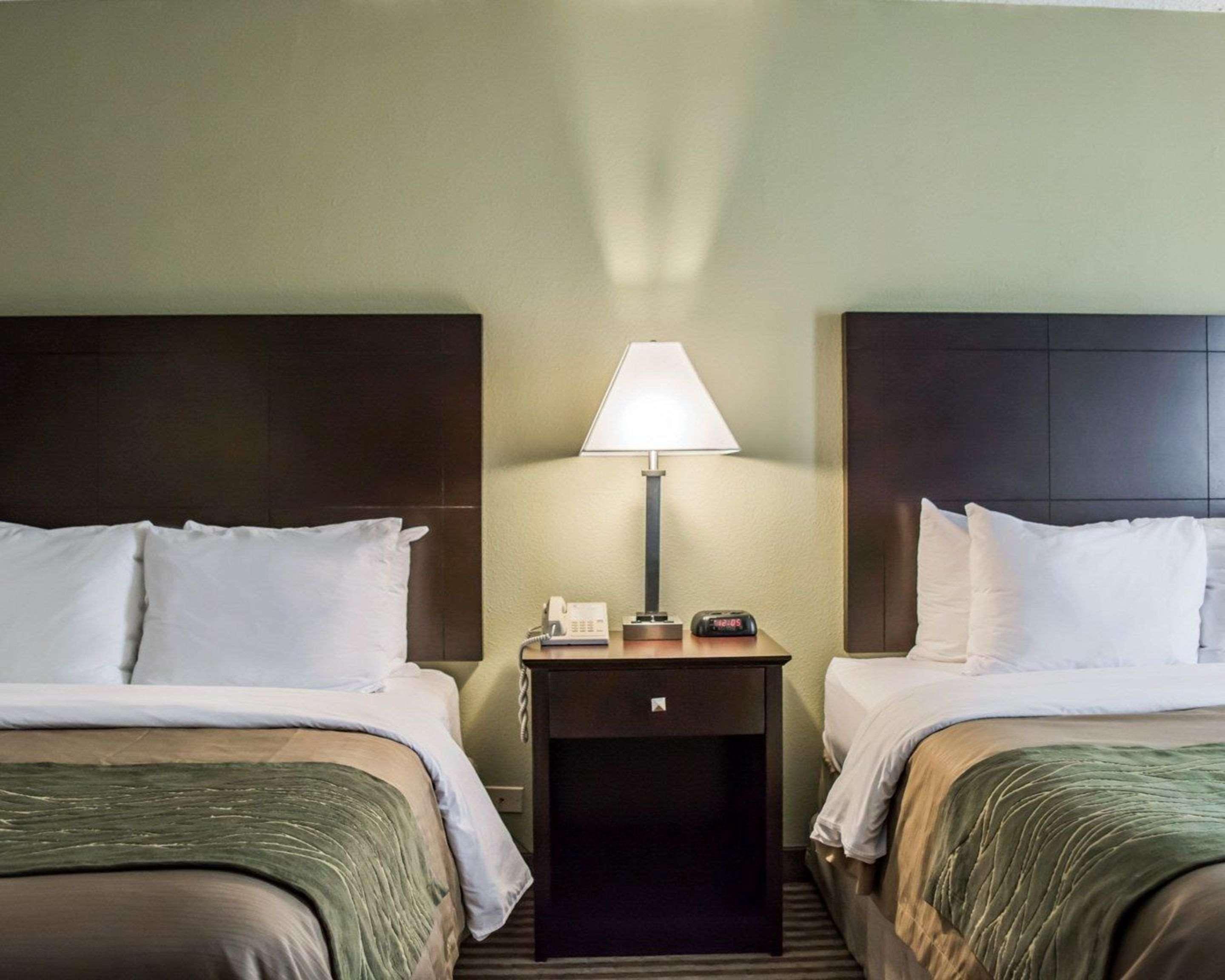 Comfort Inn & Suites St Pete - Clearwater International Airport Екстер'єр фото
