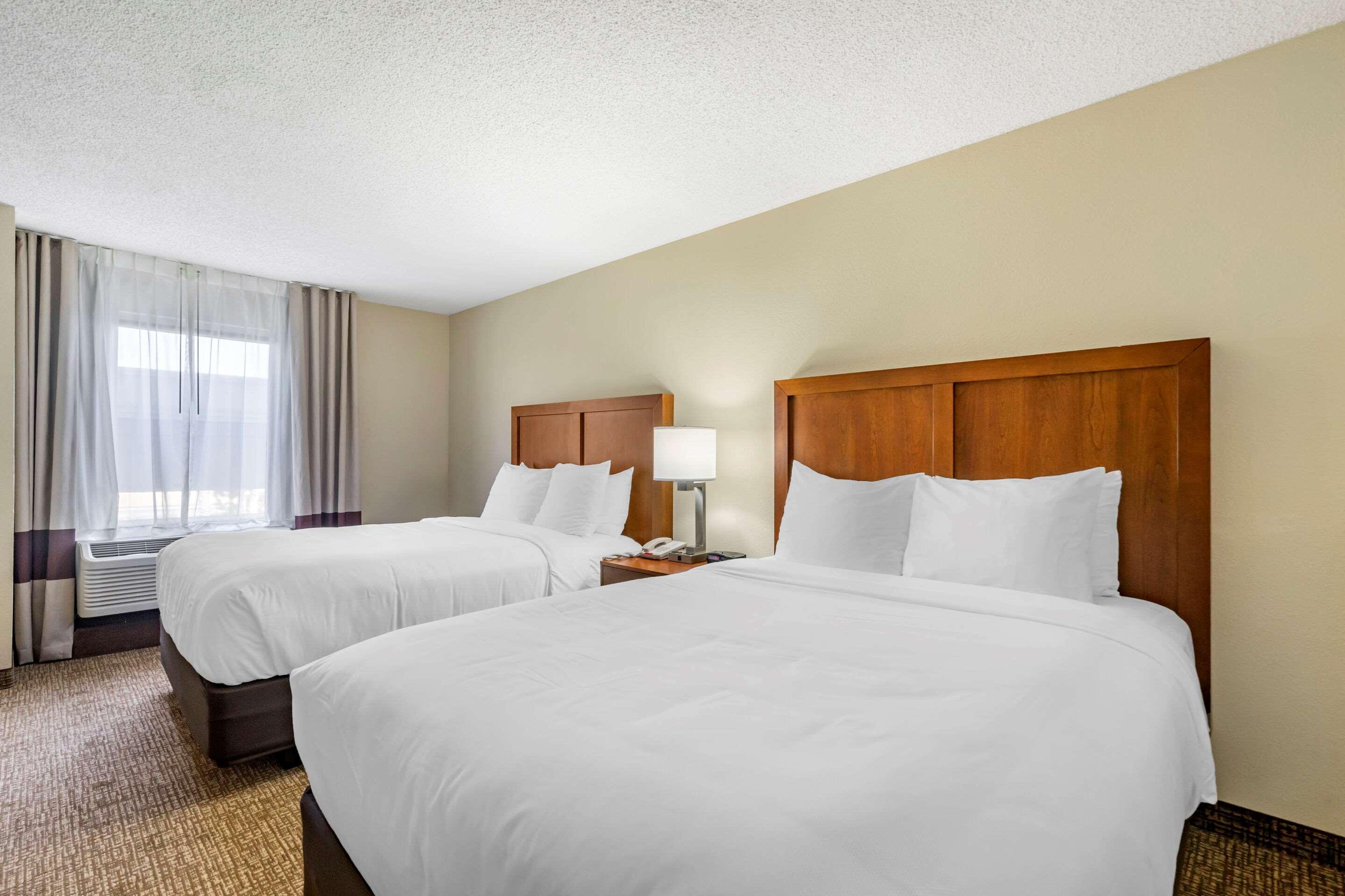 Comfort Inn & Suites St Pete - Clearwater International Airport Екстер'єр фото