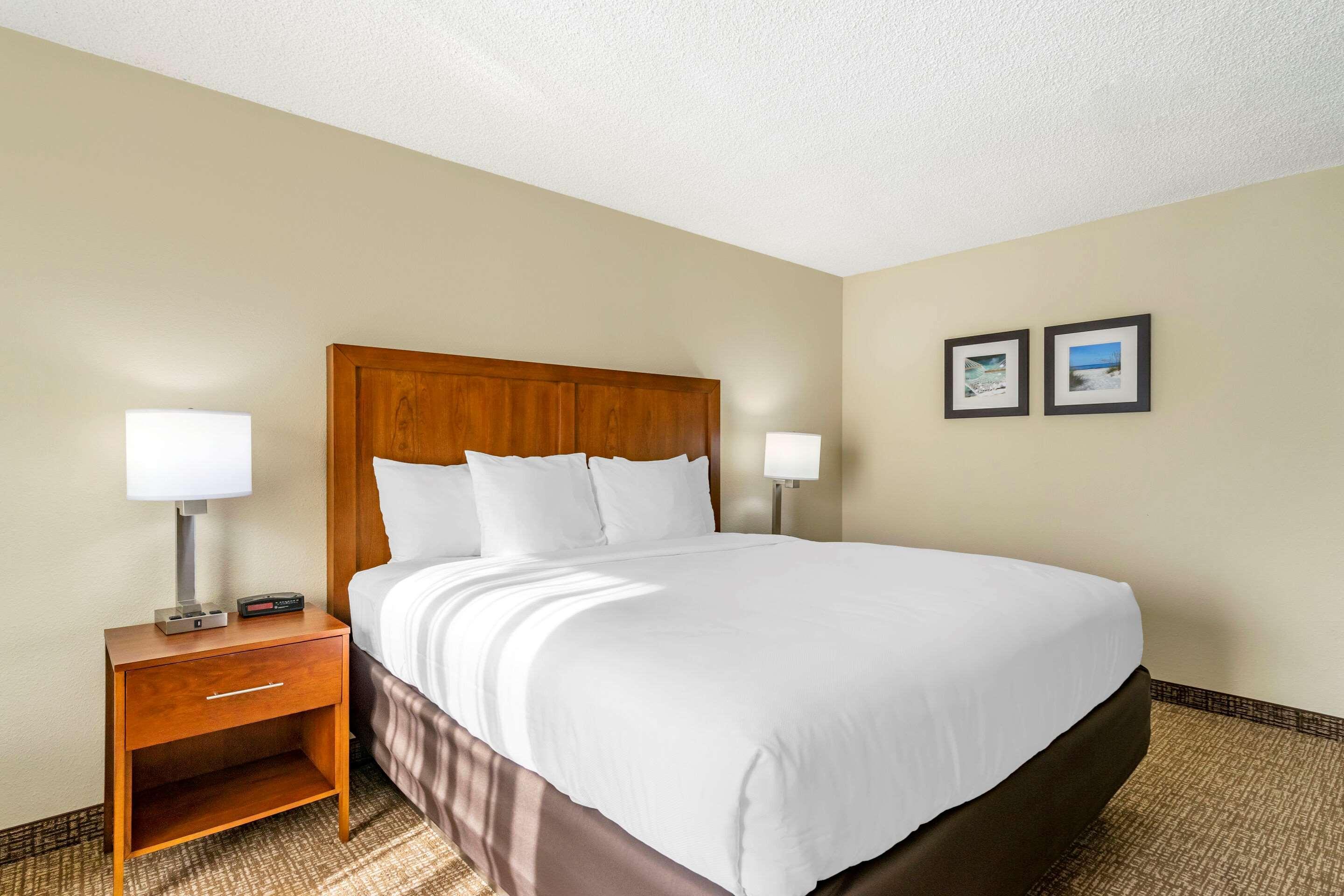 Comfort Inn & Suites St Pete - Clearwater International Airport Екстер'єр фото