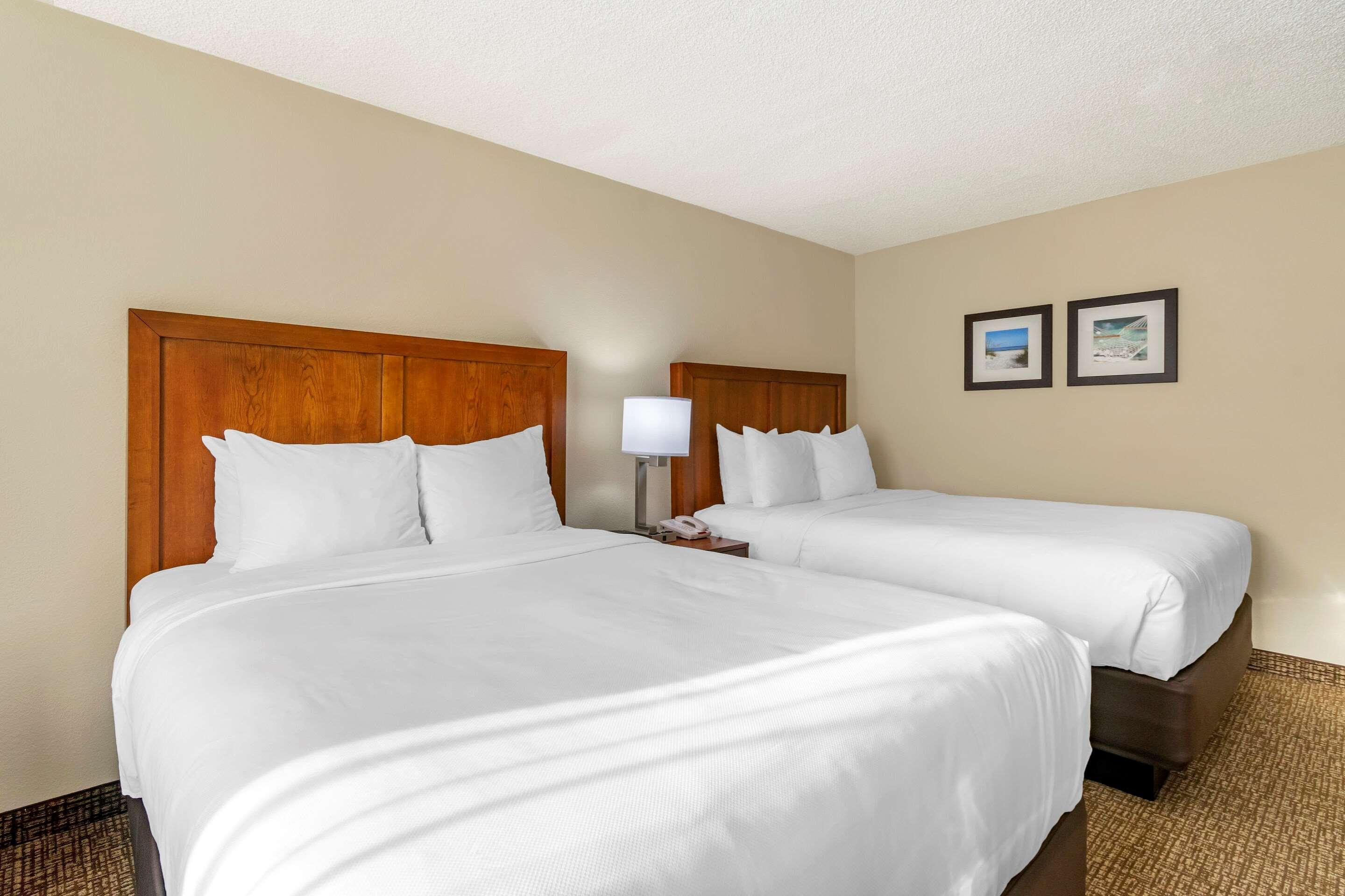 Comfort Inn & Suites St Pete - Clearwater International Airport Екстер'єр фото