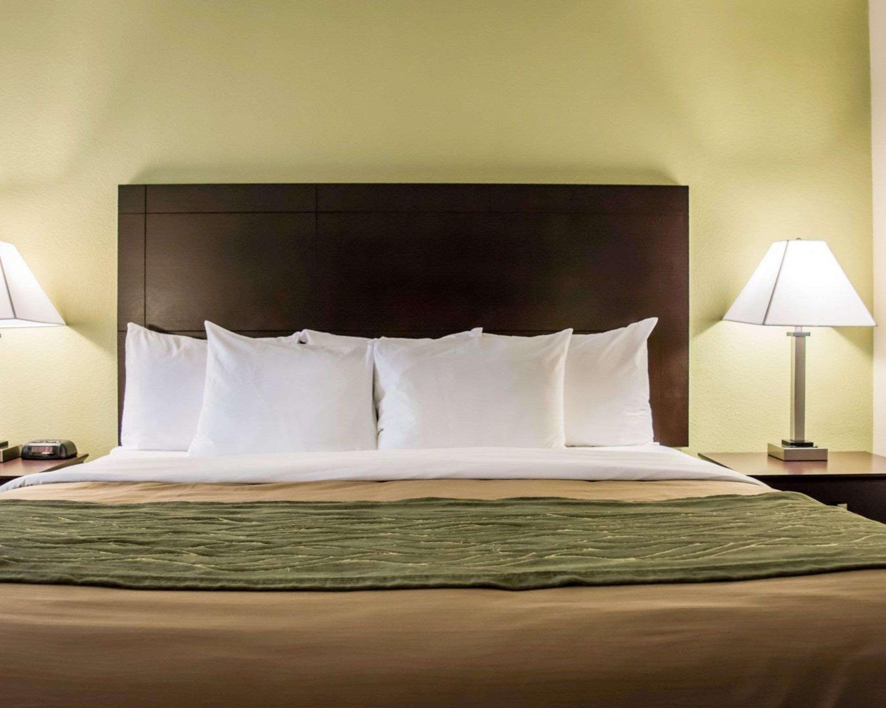 Comfort Inn & Suites St Pete - Clearwater International Airport Екстер'єр фото